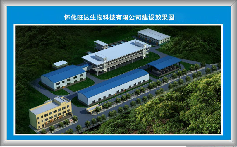 中国五大联赛网